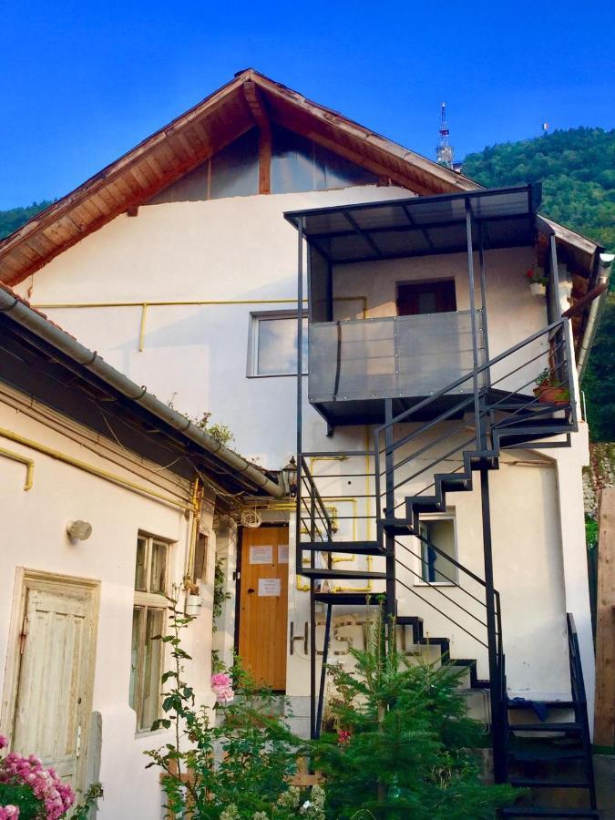 Downtown Hostel Brasov Bagian luar foto