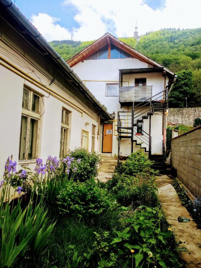 Downtown Hostel Brasov Bagian luar foto
